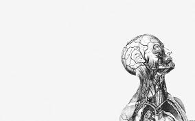 Human Anatomy Wallpapers Wallpaperpulse Medical Wallpaper Desktop Wallpaper Art Artistic Wallpaper