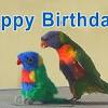 Si ces articles et photos sur le thème e carte anniversaire animee vous plaisent n'hésitez pas à partager l'article. Https Encrypted Tbn0 Gstatic Com Images Q Tbn And9gcry6sovkrpivoqlyvufjkyogkskyjnwjclsng3ex Mvtr0qqimm Usqp Cau