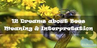 12 Dreams About Bees Meaning In 2020 Bee Dream Meanings Dream