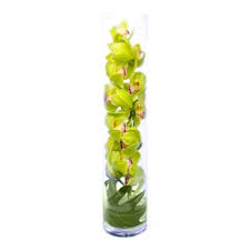 Maybe you would like to learn more about one of these? Rapid City Sd Flower Delivery Send Orchid Jade Cymbidium Flowers From Rapid City Sd Flowershops Snap Blooms