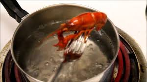 Add live crawfish, onions, garlic, lemons, and corn to your boil basket and carefully lower into boiling water. How To Cook A Crayfish Boiling Technique Youtube