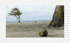 Dengan mudah sehingga sketsa pemandangan yang dibuat harus ada contohnya terlebih dahulu agar memudahkan dalam proses menggambar. Tanah Karibia Liburan Properti Nyata Sky Plc Liburan Pantai Pemandangan Png Pngegg