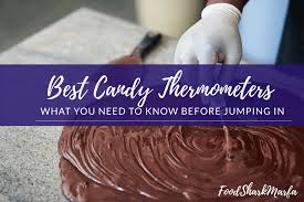 The 10 Best Candy Thermometers In 2019 Food Shark Marfa