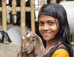 Next, hit the share button at the bottom middle of your screen. Amazonsmile You Shop Amazon Gives