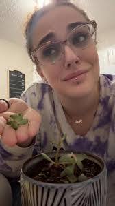 Gina Manko's Instagram, Twitter & Facebook