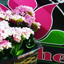Gunther's flowers la crosse wi. Flowers By Guenthers Floral Gifts 300 2399 Johnson St La Crosse Wi Florists Mapquest