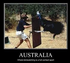 Pin By Brenda Boudinot On Dump Box Cassowary Animal Attack Australian Animals