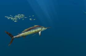 Blue world cheats, cheats codes, hints, secrets, action replay we hope information that you'll find at this page help you in playing endless ocean: Weddell Sea My Blue World