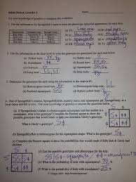 Genetics with spongebob review (pdf) use this worksheet to review punnett squares. Spongebob Genetics Answer Key Bikini Bottom Dihybrid Crosses Practice Answer Key Spongebob Is Heterozygous For His Square Shape But Spongesusie Is Round