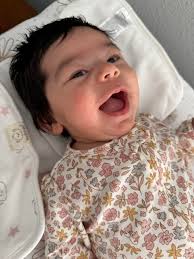 Dalmatian puppy's humorous complaint about being hungry