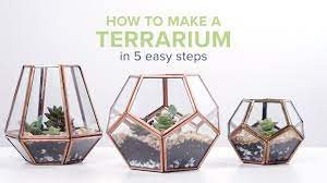 Updated on august 12, 2012. How To Make A Terrarium In 5 Easy Steps Proflowers