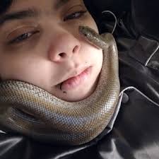 If you have interest in plankton research, look no further! This is a…