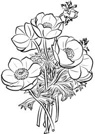 Maybe you would like to learn more about one of these? Saintpaulia Ionantha Or African Violet Coloring Pages Flower Coloring Pages Coloring Pages For Kids And Adults