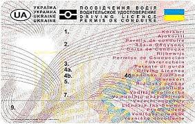 Here you should attend in theory classes (classes. Driver S License Wikiwand