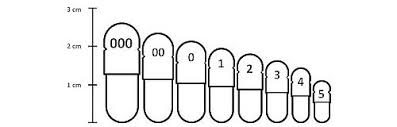 Image result for 000 EMPTY CAPSULE