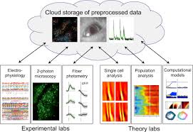 This foa on short courses in computational neuroscience emphasizes methods for data analysis and interpretation. An International Laboratory For Systems And Computational Neuroscience Sciencedirect