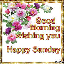 Good morning hd gif free download. Good Morning Gif Images For Sunday Hutomo
