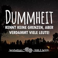 Dummheit Kennt Keine Grenzen Aber Verdammt Viele Leute Spruche Lebensweisheiten Spruche Lustige Zitate Und Spruche Sarkastische Spruche