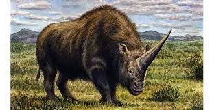 Показаны 13 файлов из 13, находящихся в. The Siberian Unicorn Lived At The Same Time As Modern Humans Natural History Museum