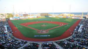 18 Particular Mcu Park Brooklyn Ny Seating Chart