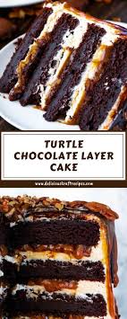 Turtle Chocolate Layer Cake Chocolate Layer Cake Desserts Layer Cake Recipes