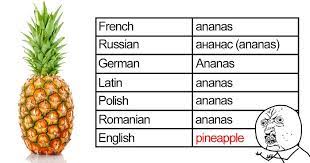 Whenever your little one's material starts to get stale, revisit this list of funny kids' jokes and teach them a few more fresh funnies. 67 Hilarious Reasons Why The English Language Is The Worst Bored Panda