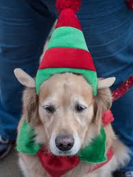 Garden City Santaland Parade kicks off the holidays
