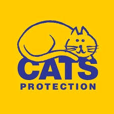 Four kittens three black girls one grey boy ready in about five or six weeks read more >>. Cats Protection Glasgow Branch Home Facebook