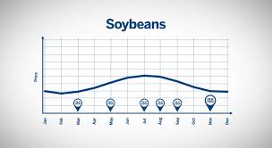 Understanding Seasonality In Grains