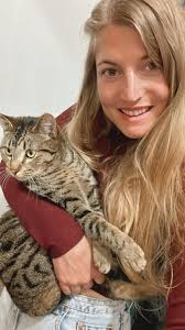 How to find a lost indoor cat in Hamilton, New Zealand?