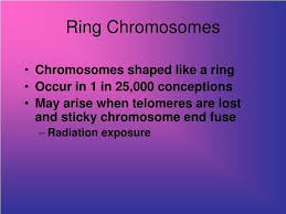 Chromosomes 21 and 22 are the largest human chromosomes. Ppt Chromosomes Powerpoint Presentation Free Download Id 1780826