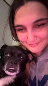 Lost Dog Milo in Rock Island, Illinois