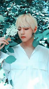 You know, beautiful wallpapers of our beautiful guys. Bts Vlife Kim Taehyung Wallpaper Bts Wallpaper Taehyung