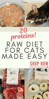 Best Raw Cat Food Ingredients Delivered To Your Door Homemade Cat Food Raw Cat Food Recipes Raw Cat Food Diet