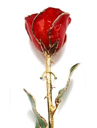 Specify address, we will show you closest shops with actual prices. Red Rose Dipped In Gold Florist Flowers Delivered Allen S Flower Market