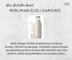 Susu kambing terbaik untuk ibu hamil mollie premium 1 box isi 10. Khasiat Susu Kambing Buat Ibu Hamil Nuhababy