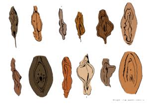 Body parts: What do I need to know? | International Students Health Hub