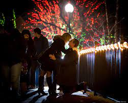 Proposal At Zoo Lights In Chicago S Lincoln Park Zoo Lights Photography Inspiration Wedding