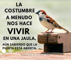 Fanpage De Frases Inspiradoras Y Reflexiones Frases De Voluntad La Voluntad Frases Inspiradoras