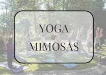 Yoga and Mimosas