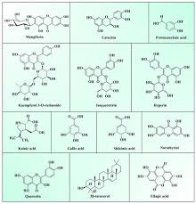 Image result for vivek gyan 7.0