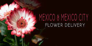 Add some freshness in your occasion using online flowers bouquet delivery in mexico. The 20 Best Options For Flower Delivery In Mexico Mexico City 2021