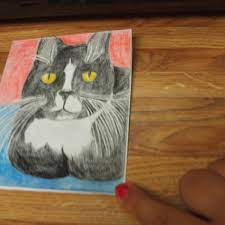The cards clipped to dog kennels and cat cages usually include just a few descriptive words, but they could be the most important words you write all day. How To Make A Homemade Cat Card Hubpages