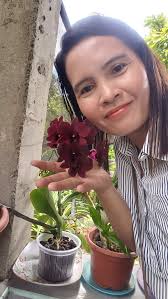 Mabuhay! How is everybody? Hope this view can make your day.