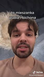 Kociołek kupiła psa z pseudohodowli. Komentarze bez litości: To wspieranie  cierpienia zwierząt