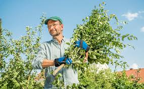 Gartenhacksler Im Test So Hackseln Sie Richtig Stiftung Warentest