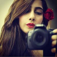 Any recommendations for pest control in Bellevue WA