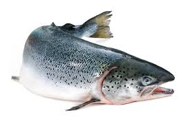 Try echo falls brand scottish smoked atlantic on top of crostinis at your next party! Best Worst Salmon Brands Smoked Frozen Canned Prepared