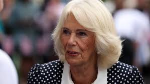 Kiss and Kin|Angela Lambert.