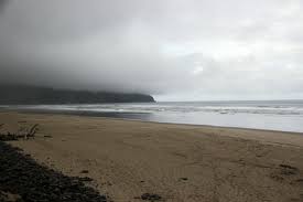 Maybe you would like to learn more about one of these? Grayland Beach State Park Campground Grayland Washington Womo Abenteuer